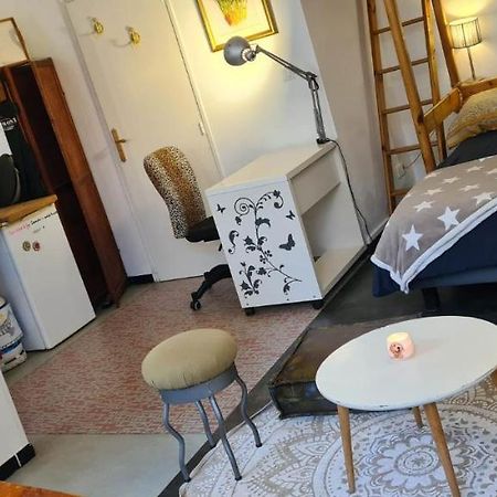 Chaleureux Studio Independant Encausse-les-Thermes Екстериор снимка