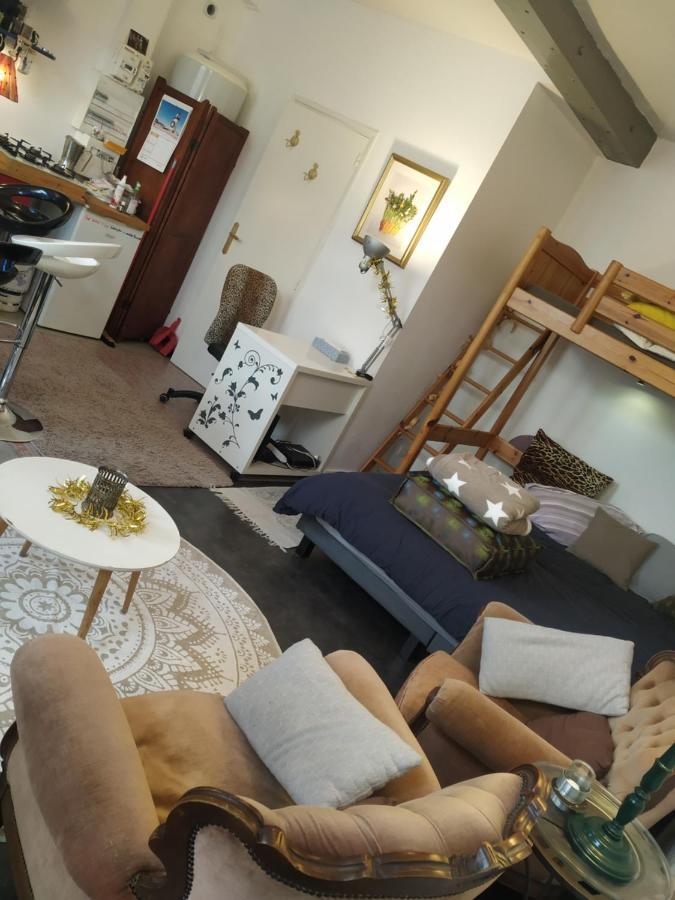 Chaleureux Studio Independant Encausse-les-Thermes Екстериор снимка