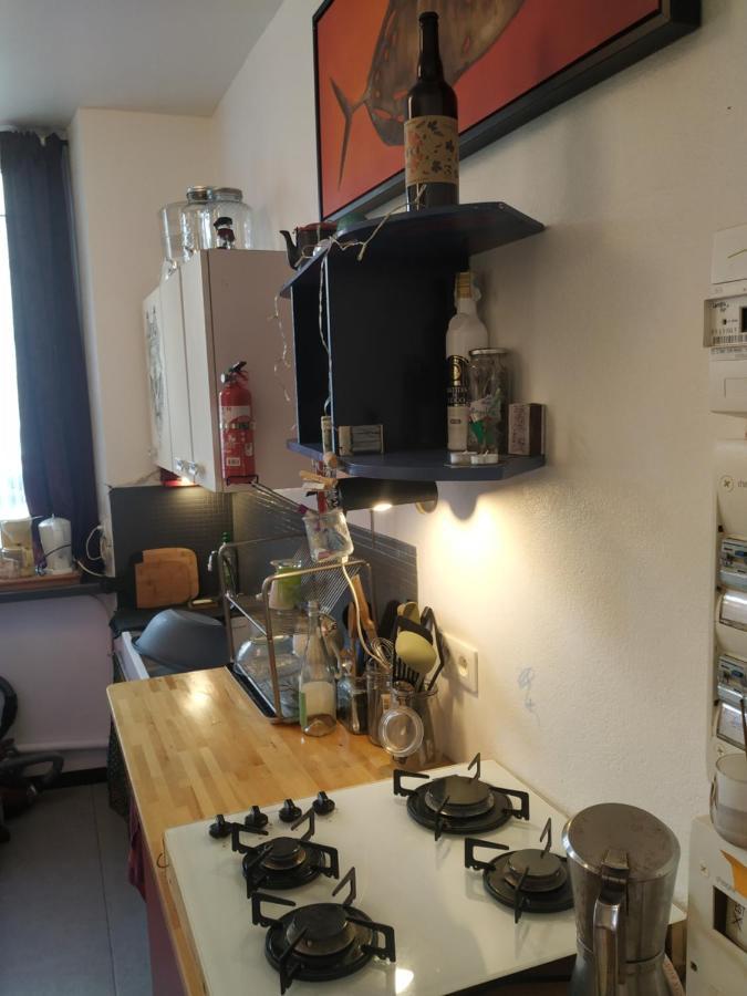 Chaleureux Studio Independant Encausse-les-Thermes Екстериор снимка